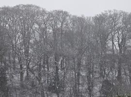 Die kurPark Eule, хотел в Мьолн