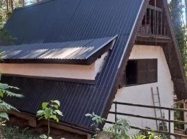 LeśnyZakątekNysa, Hotel in Skorochów