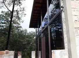 Lujo Rustico Lago Cerca Terraza Mascotas