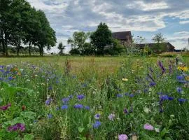 Wiesenblick im Gutshaus - Ferienwohnung