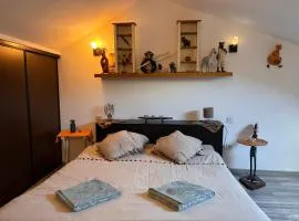 La Porte des Vosges Appartement lumineux avec ter