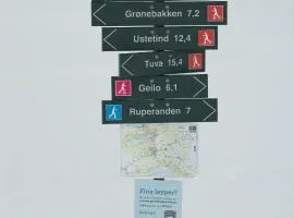 Kikut1010 Skurdalsvegen 107