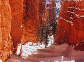Bryce Canyon Escalante Glamping, отель в городе Кэннонвилл