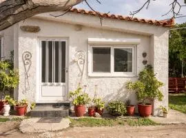 Beautiful cottage house at Mesokampos