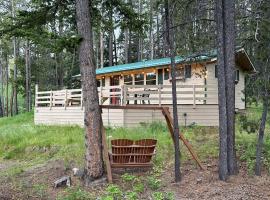 Pinecone Cabin, hotel en Red Lodge