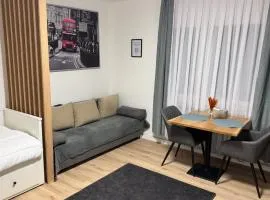 Modern Compact Studio near Frankfurt