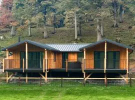 Oakwood Lodge - Uk50626