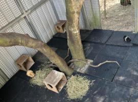 拇指園民宿, hotel con estacionamiento en Guanxi