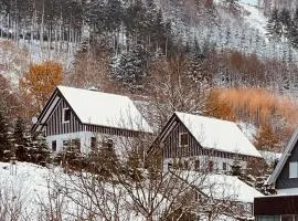 Häuser Traumblick und Alpenzauber