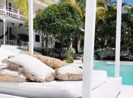 Cocoon Signature Palm Tree Garden