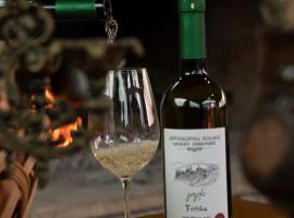 winery and guesthouse makhare, Hotel in Tʼerjola