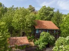 Wine Hill House Trsek with Jacuzzi