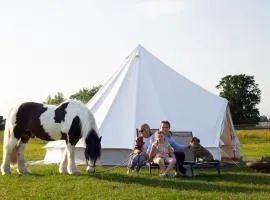 Glamping met paarden