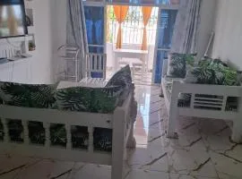 Majestik palms beach appartments