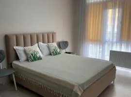 Просторная однокомнатная квартира ЖК Alem City