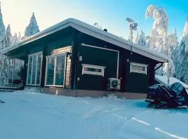 Private Lakefront Log Villa in Lapland with Sauna