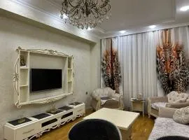 Modern 2BR Apartment Near Memar Ajami Metro Central Baku