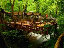 Karaaslan Kamping Tesisleri, ξενοδοχείο σε Kazandere