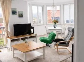 Penthouse Wohnung Ebersbach Riedstr19