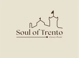 Soul of Trento San Martino Apartment