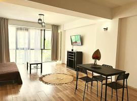 Gate 255 Airport Self Check-in 10 min from OTP AIRPORT, hotel Otopeniben