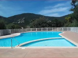 Soleil du Sud
