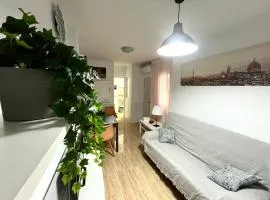 Acogedor Apartamento En Rosaleda Centro