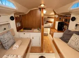 Capitão Barracuda Rest&Sale