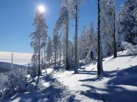 Czarna Góra Apartament 319