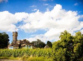 Burg & Gästehaus by Schwarzenstein, Hotel in Geisenheim