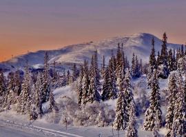Studio Svartbygget, hotell i Åre
