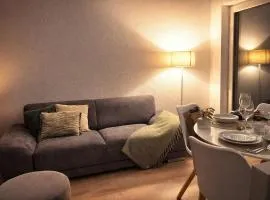 Modern apartment near center & train station