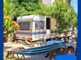 Caravan in Finca Molino in Almayate with with pool, family touch and dog madness, leirint&auml;alue kohteessa Almayate Alto