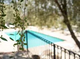 Villa Roba degli Ulivi