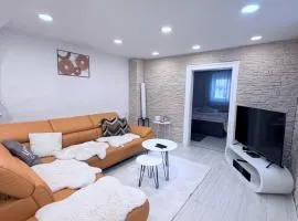 Alia house with garden in Piešťany