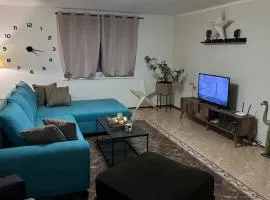 Apartman Staro Petrovo Selo