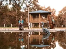 Pensión Cabañas Bosque Máxico de Bonxe