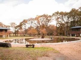 Bosque Máxico de Bonxe