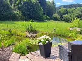 OREA Ferien-Appartment nähe Nürburging Rhein Ahr Eifel--- NEU NEW RENOVIERT