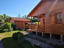 Chalet cosy avec terrasse à Freissinouse - API-1-52-962