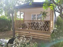 Mobil-home 3 pièces avec terrasse à Laurens - API-1-52-1150