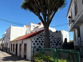 Casa del Drago
