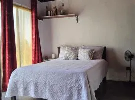 Habitación vista al jardín