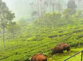 Prysm Homestay - Kotagiri