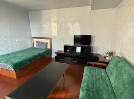 Mini apartment in Central UB