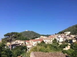 Alba Matesina