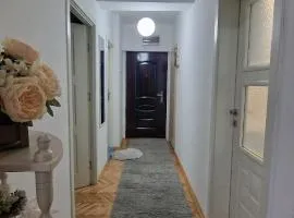 Stan vo centarot za kratok period