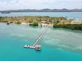 Roko Island