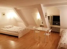 Studio D on Barfsserplatz central old town