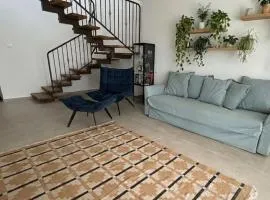 בית נעים בין המדבר לים